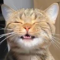 ꒰ঌ❤️໒꒱唐辛子🌶´-さんのアイコン画像