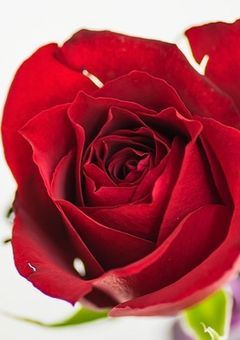 俺達、愉快部所属の◯◯◯◯◯です！