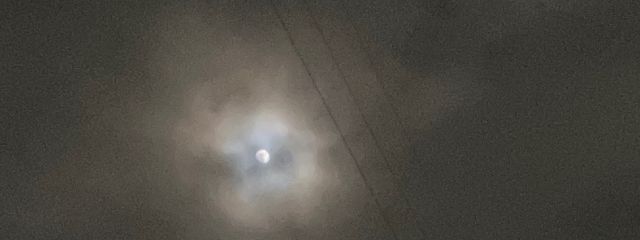 春さんの壁紙画像