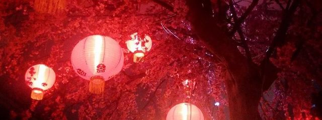 りんごさんの壁紙画像