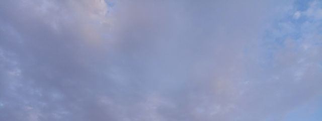 九尾の狐さんの壁紙画像