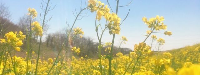 💡.さんの壁紙画像