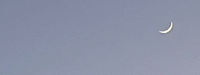 月詠さんの壁紙画像