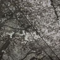珠那さんのアイコン画像