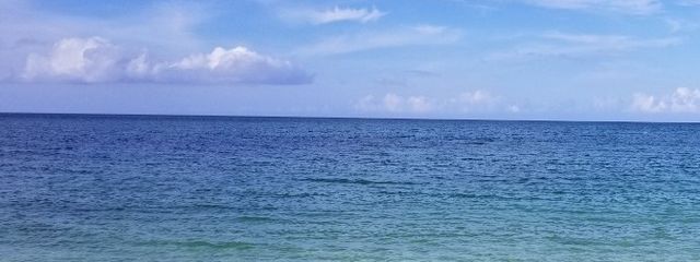ころも🎲さんの壁紙画像