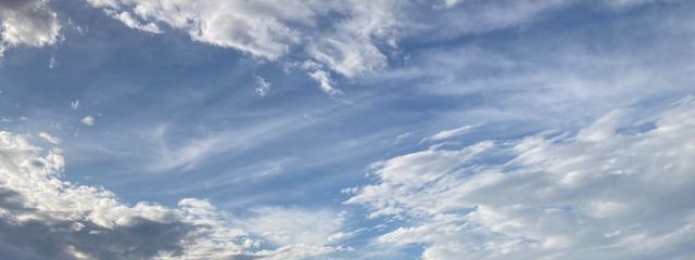 春 花  桃 佳 さんの壁紙画像