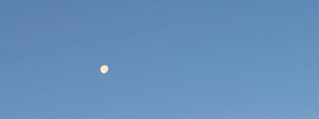 すいそさんの壁紙画像