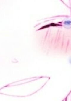 お兄ちゃん、、どうして……