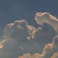 はげちんちくりんごさんのアイコン画像