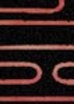 迷い姫に幸福を。