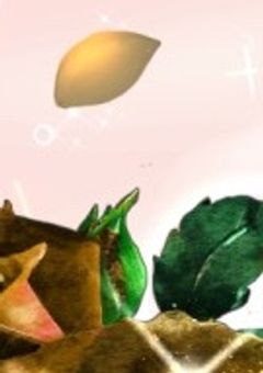 余命1年の私が出会ったのは一番星~賽💛ver.~