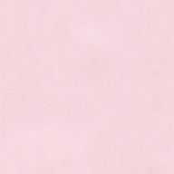 Lさんのアイコン画像