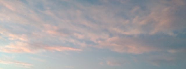 Runra*.~さんの壁紙画像