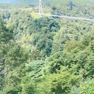 よっしーさんのアイコン画像