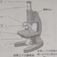 私魚さんのアイコン画像