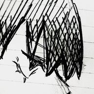 🧸さんのアイコン画像