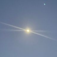 とんかつさんのアイコン画像