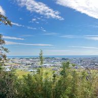 心美さんのアイコン画像