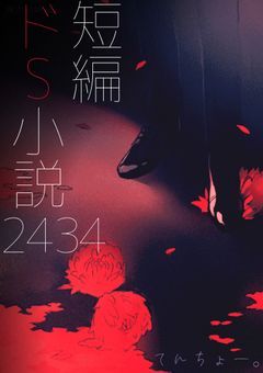 2434短編ドS小説