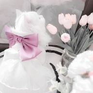 るにゃん🐾さんのアイコン画像