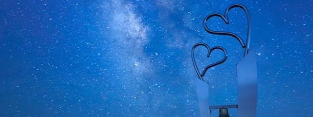 Reinさんの壁紙画像