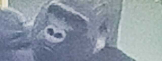 ひまじさんの壁紙画像