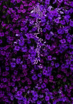 絶対に忘れてやらないから