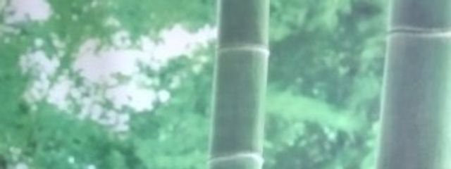 koma🧪✨️🔭［＊💚＊］さんの壁紙画像