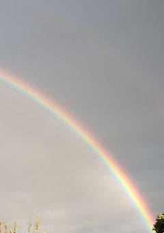 生きる意味と貴方の存在