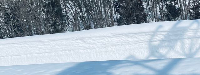 こらさんの壁紙画像