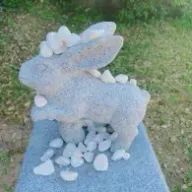 R1nN3さんのアイコン画像