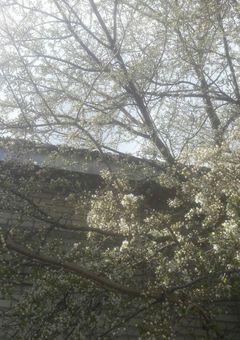 元旦那、3人います。