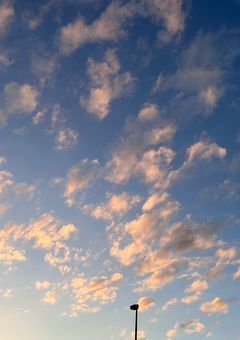 白に溶けない想い