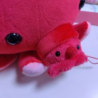 mao@初心者さんのアイコン画像