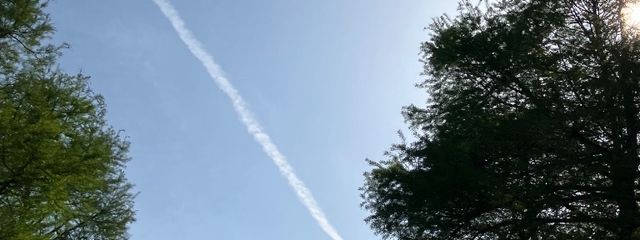 晶さんの壁紙画像