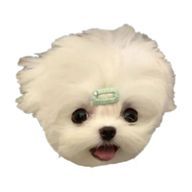 しろい人さんのアイコン画像