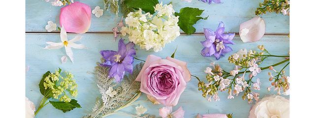 ばけさんの壁紙画像