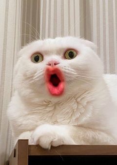 雑談〜