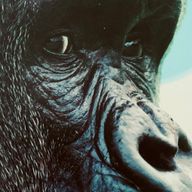 俺の女になれよ♡さんのアイコン画像