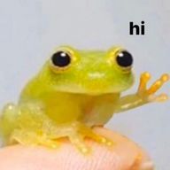 りんごさんのアイコン画像