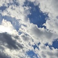 shihon　💛🦁🤍🐇よりの箱推しさんのアイコン画像