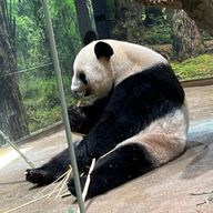 工藤きのこさんのアイコン画像