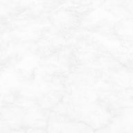 ちぇさんのアイコン画像