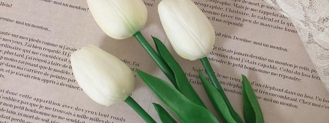 uka.さんの壁紙画像