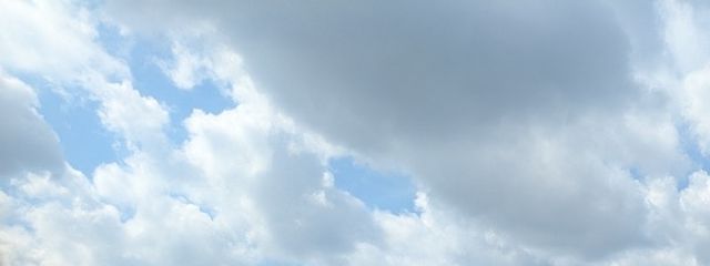 瑠璃  さんの壁紙画像