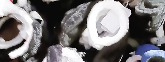 すずかさんの壁紙画像