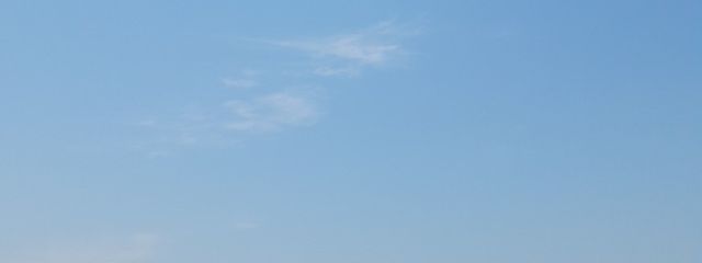 青色ポンチさんの壁紙画像