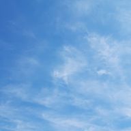 青色ポンチさんのアイコン画像