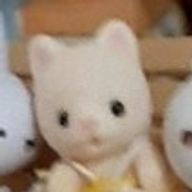 ゆるゆるにゃんこさんのアイコン画像