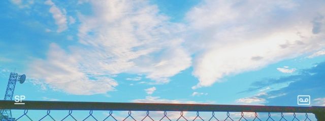 shizukuさんの壁紙画像